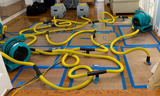 Professional Burst Pipe Water Damage technician working in Suitland, MD
